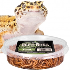 Terrario Repti Bites Mealworms 125ml