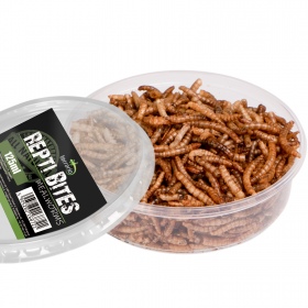 Terrario Repti Bites Worms 125ml