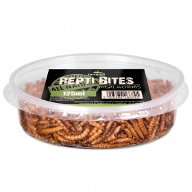 Terrario Mealworms dla Gadów i Płazów