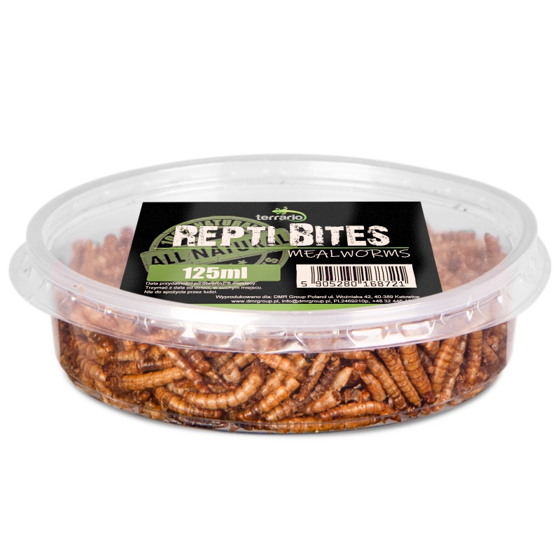 Terrario Mealworms dla Gadów i Płazów