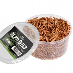 Terrario Repti Bites Mealworms 250ml