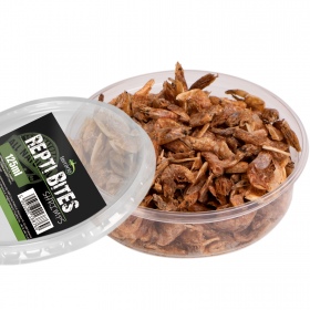 Terrario Repti Bites Shrimps 125ml