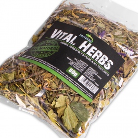 Terrario Vital Herbs 80g - Kräuter für Schildkröten