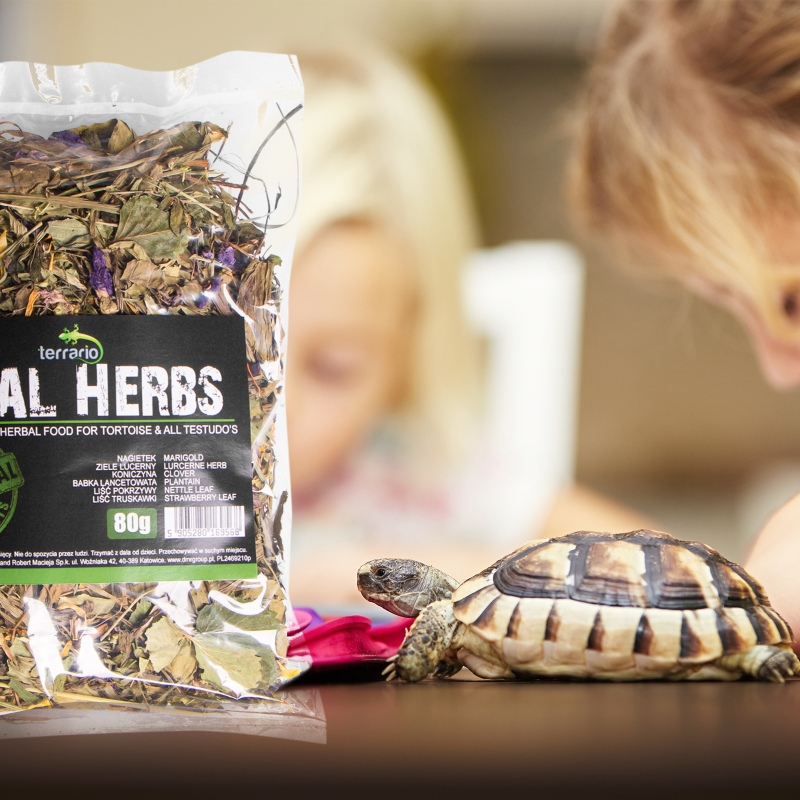 Terrario Vital Herbs 80g voor schildpadden