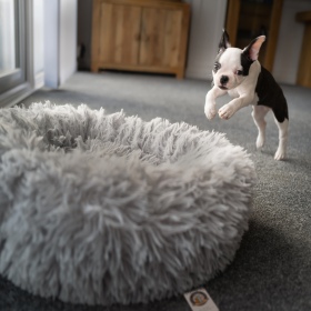 Furrever Friends Fluffy Bed voor honden en katten