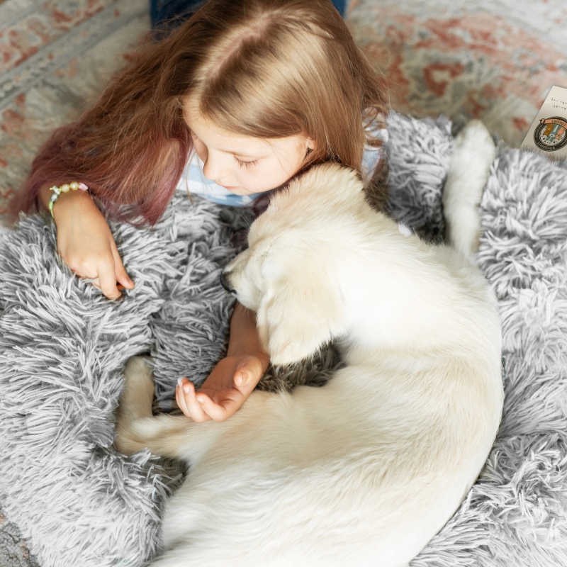 Furrever Friends Fluffy Bed für Hunde und Katzen