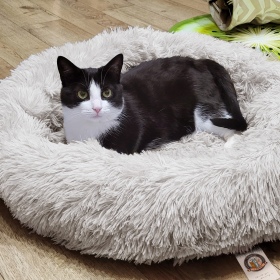 Furrever Friends Fluffy Bed voor honden en katten