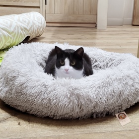 Furrever Friends Fluffy Bed 60 cm