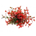 Happet Planta Aquática - planta artificial vermelho-verde 10cm