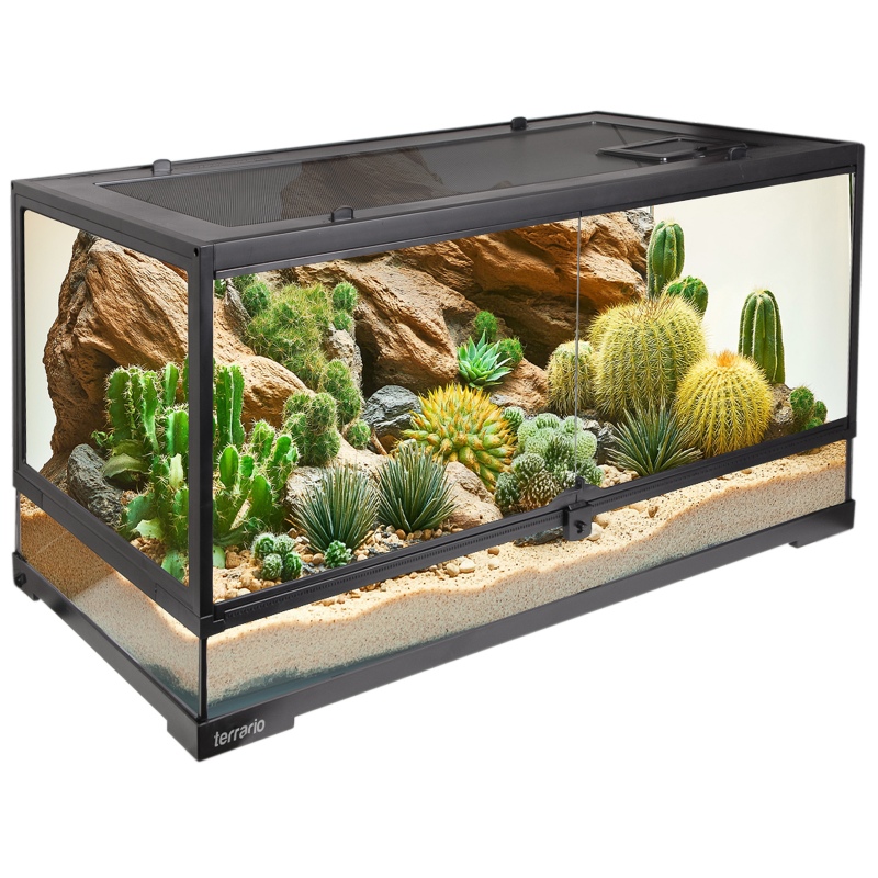 Terrario Looduskaitseala 40 terrarium