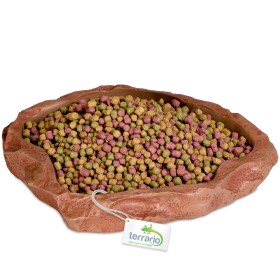 Terrario Bowl Natural – Tigela de 20x17x3 cm