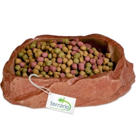 Terrario Natural Bowl M - Tazón para Mascotas