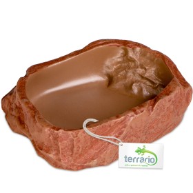 Terrario Natural Bowl M - natūrali išvaizda