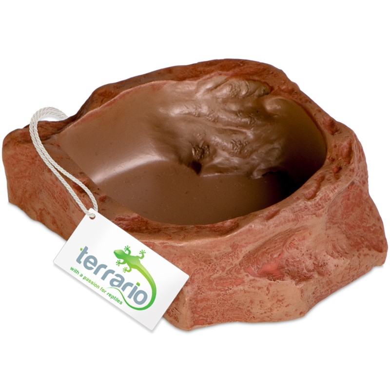 Terrario Natural Bowl S – удобна купа за терариум