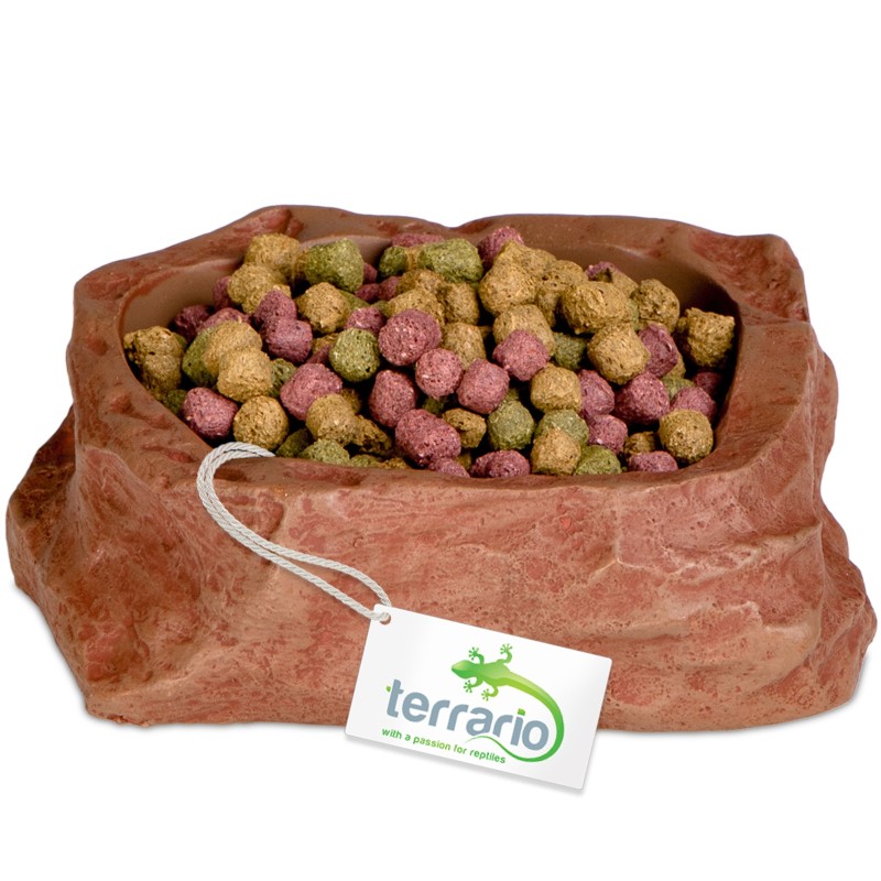 Terrario Natural Bowl S для терраріуму