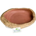 Terrario Rock Oasis M – Cuenco para Terrario 14,5x11,5x3,5 cm