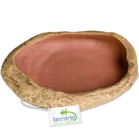 Terrario Rock Oasis M Bowl - Ideal for Pets