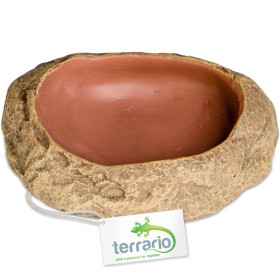 Cuenco Terrario Rock Oasis S - 10x6,5x2,5 cm