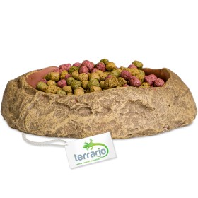 Terrario Rock Oasis S Terrarium Bowl