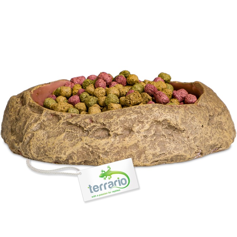 Cuenco Terrario Rock Oasis S - 10x6,5x2,5 cm