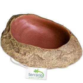 Terrario Rock Oasis S Terrarium Bowl