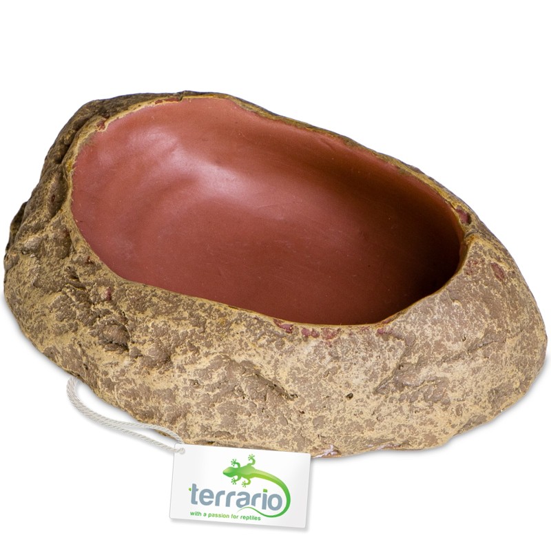 Cuenco Terrario Rock Oasis S - 10x6,5x2,5 cm