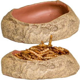 Cuenco Terrario Rock Oasis S - 10x6,5x2,5 cm