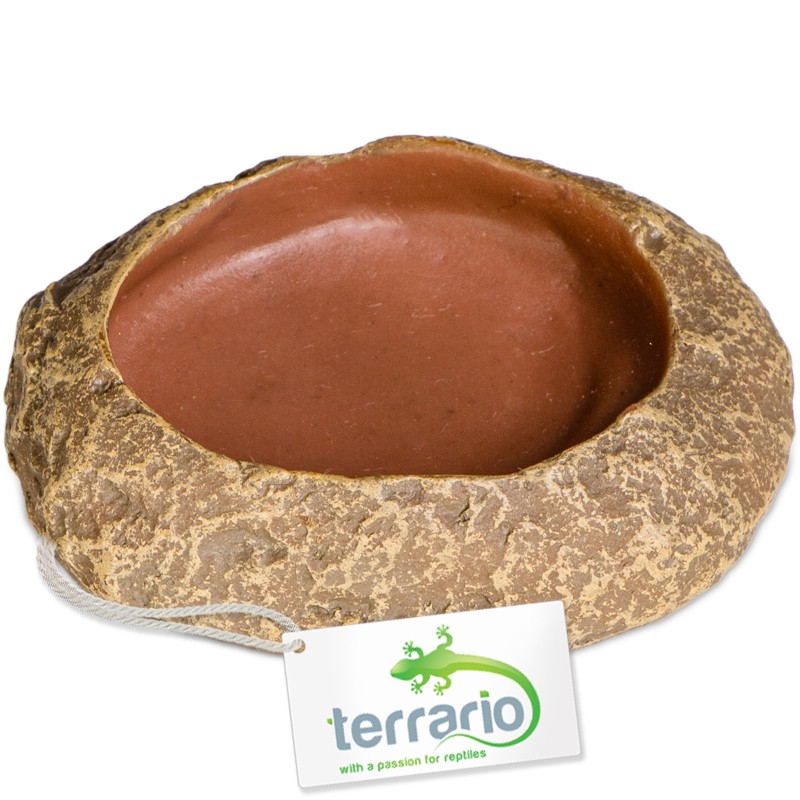 Ciotola per terrario Terrario Rock Oasis XS