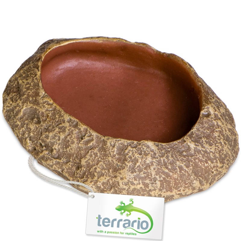 Terrario Rock Oasis XS – 5.5x4x1 cm Bowl