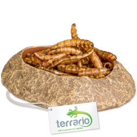 Миска Terrario Rock Oasis XS 5,5x4x1 см