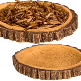 Terrario Tree Ring Bowl Miska 12x11x1,5 cm