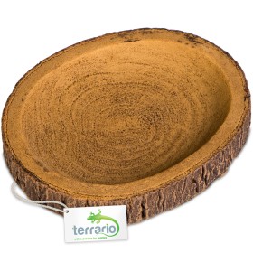 Terrario Tazón de Anillo de Árbol S