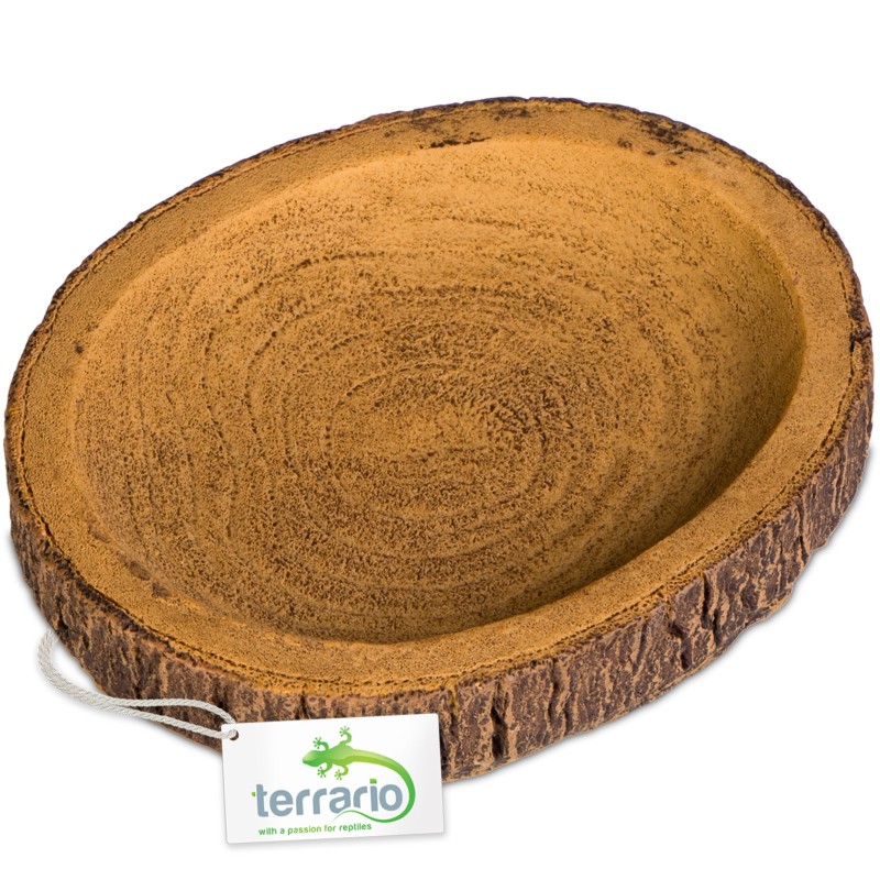 Terrario Tazón de Anillo de Árbol S