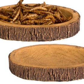 Terrario Tree Ring Bowl S - Miska