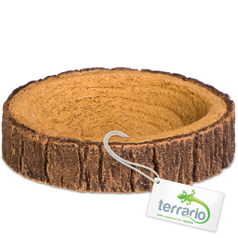 Terrario Tree Ring Bowl XS - přírodní design