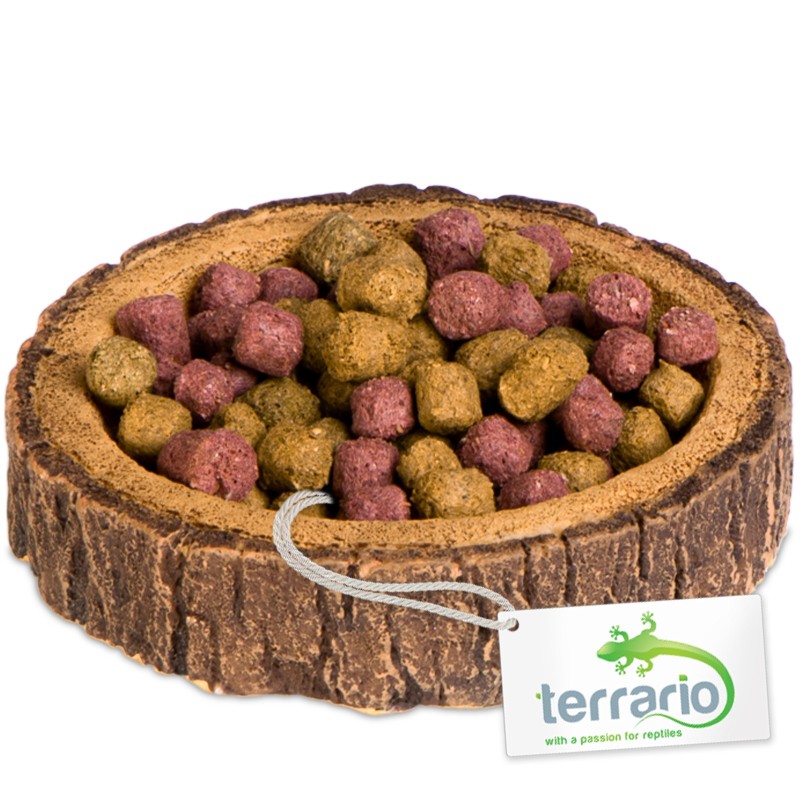 Terrario Ciotola Anello d'Albero XS