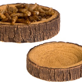 Terrario Tree Ring Bowl XS - Miska 6x5x1 cm