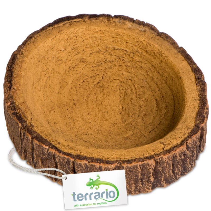 Terrario Tree Ring Bowl XS - přírodní design