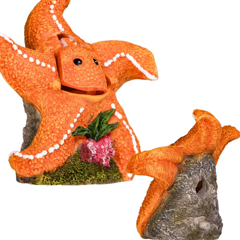 Kruger Meier Happy Starfish Set per acquario