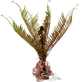 Terrario Giant Fern - Künstliche Pflanze für Terrarien