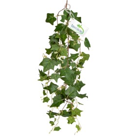 Terrario Hanging Ivy 75 cm