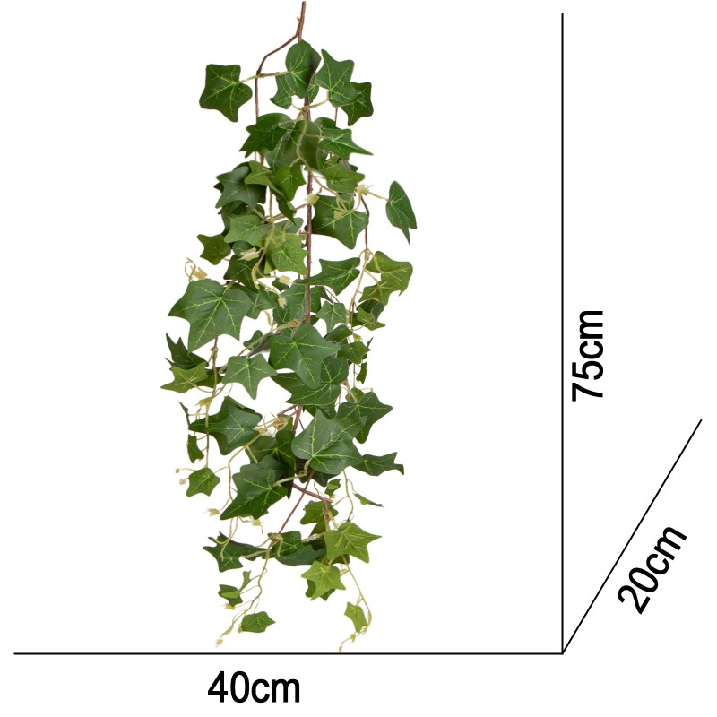 Visací Brečtan 75 cm do terária