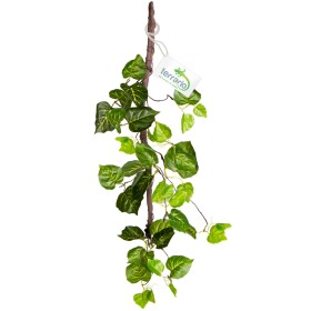 Terrario Hängender Efeu 80 cm für Terrarien