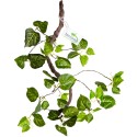 Terrario – Sztuczna Roślina do Terrarium – Wiszący Bluszcz 80 cm