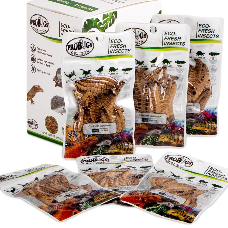 ProBugs Eco-Fresh Superworm 20g - fresh larvae of the woodworm.