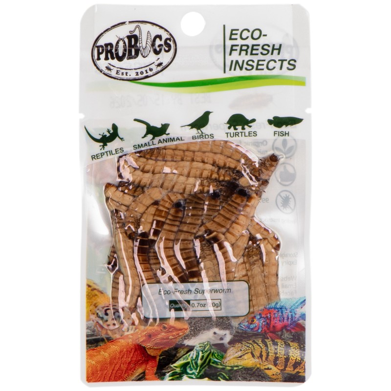 ProBugs Eco-Fresh Superworm 20g - fresh larvae of the woodworm.