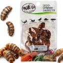 ProBugs Eco-Fresh Копринени червеи 15г - свежи ларви на копринен червей