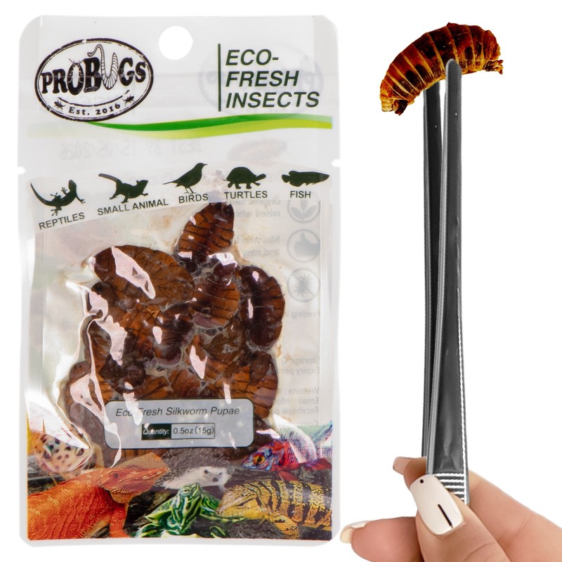 ProBugs Eco-Fresh hodvábnik 15g - čerstvé larvy hodvábnika