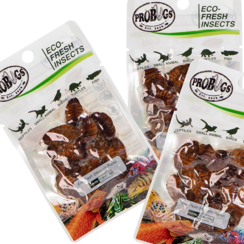 ProBugs Eco-Fresh Šilkverpių 15g - švieži šilkverpių lervos