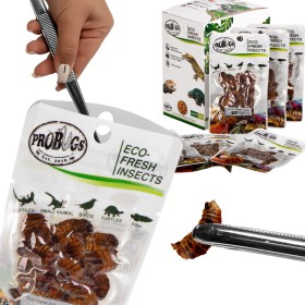 ProBugs Eco-Fresh Vers de Soie 15g - larves de vers à soie fraîches